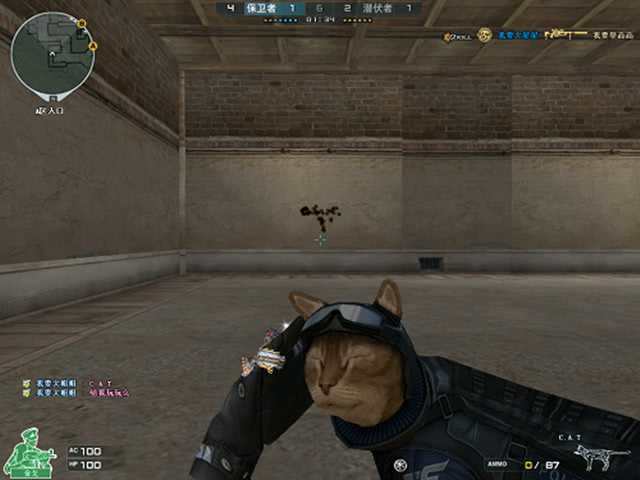 中国老板投资LCK的DWG被骗3000万？